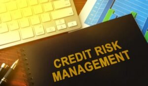 The Role of Receivable Turnover Ratio in Credit Risk Management